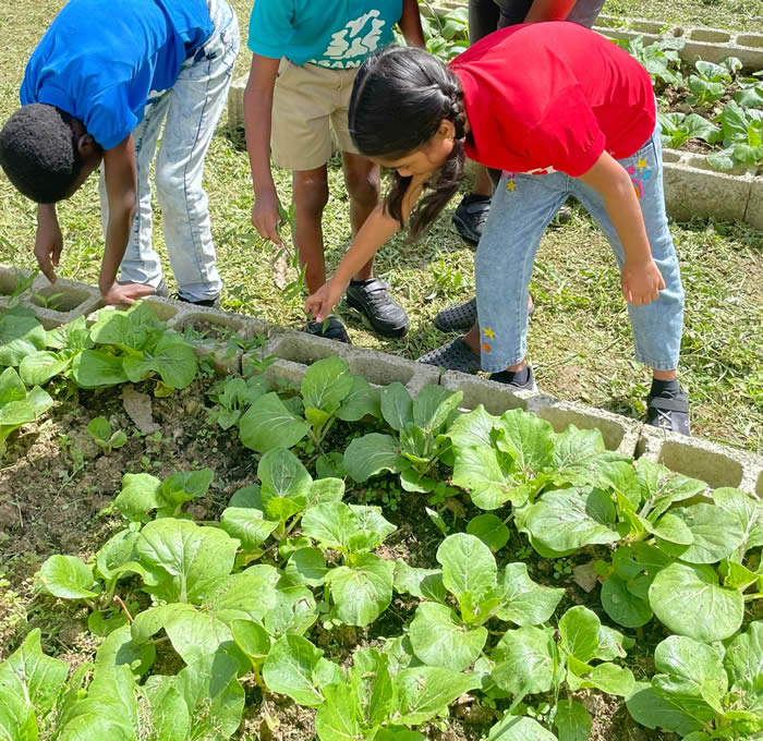 Agriculture